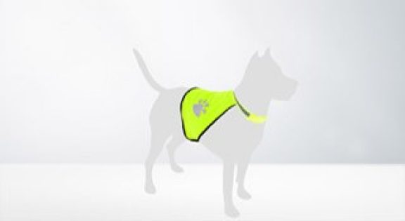 Dierenkleding