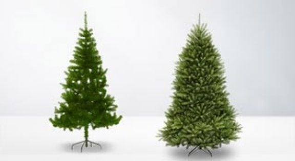 Kerstbomen