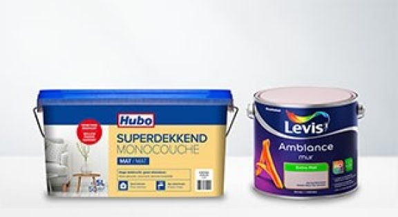 Peinture mur et plafond
