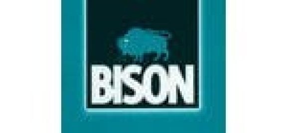 Bison