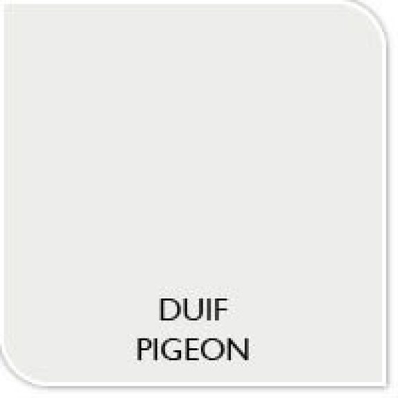 Verfkleur duif