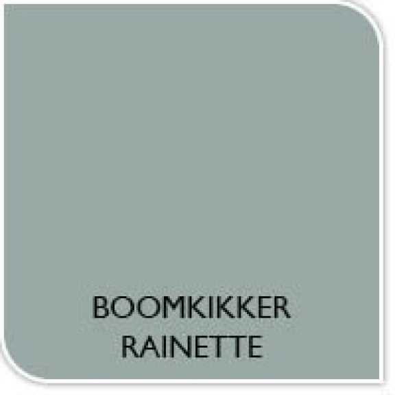Verfkleur boomkikker