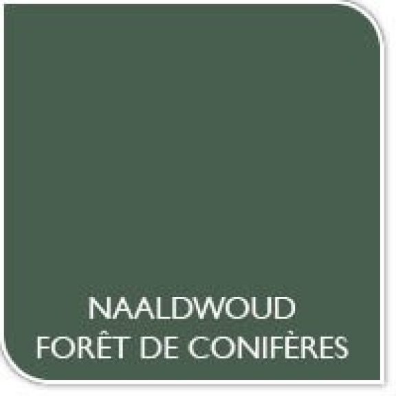 Verfkleur naaldwoud