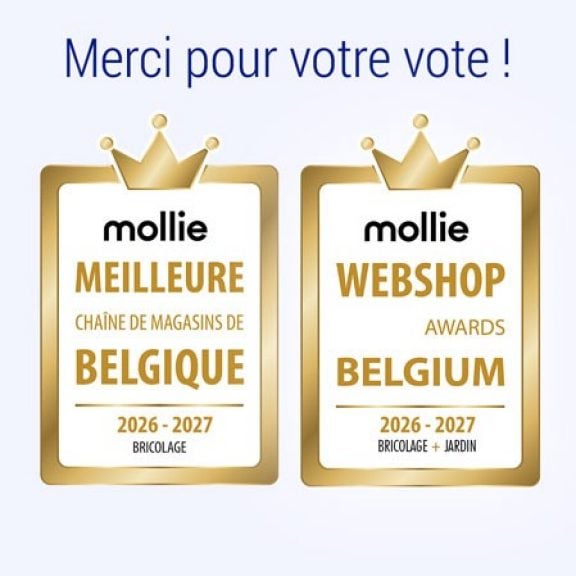 Meilleure chaîne de magasins