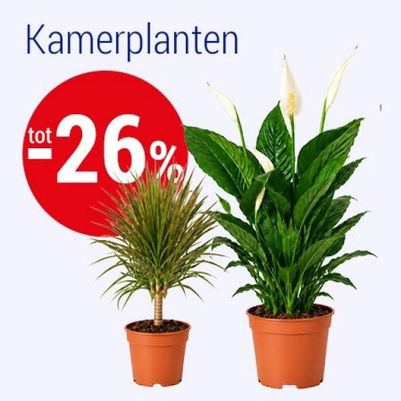 Levende planten