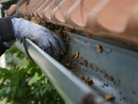 bladeren uit dakgoot verwijderen