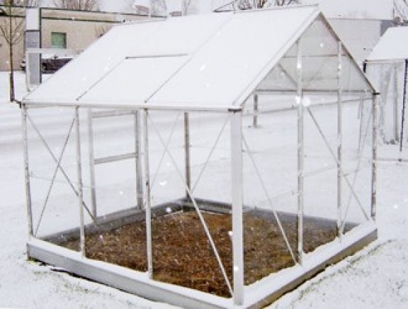 Planten kweken in een serre in de winter