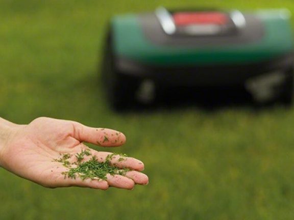 Bosch indego coupe l'herbe uniformément