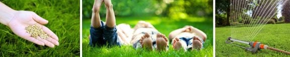 Entretenir votre gazon