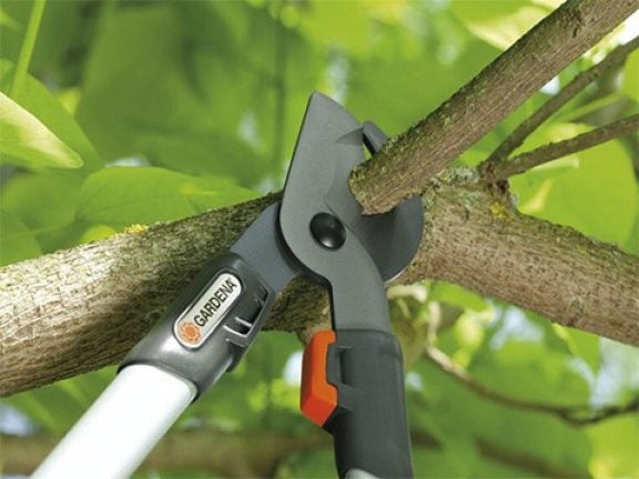 Le coupe-branches