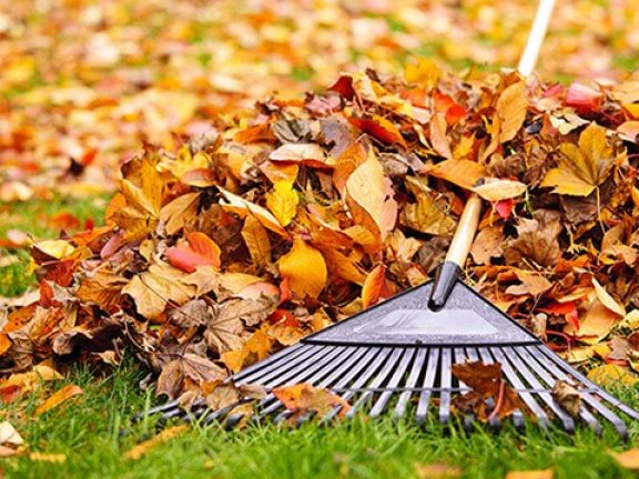 Automne