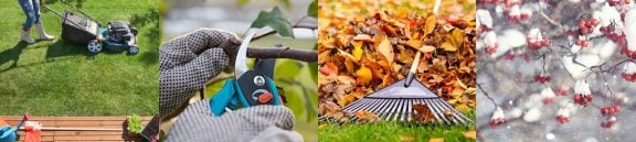 Tuinonderhoud najaar