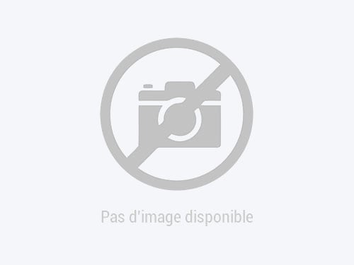 Pas d'image disponible