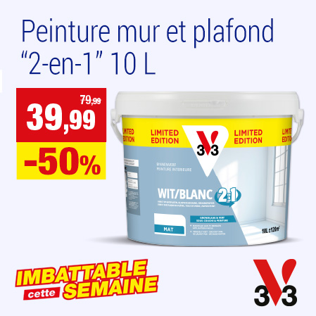 Peinture mur et plafond