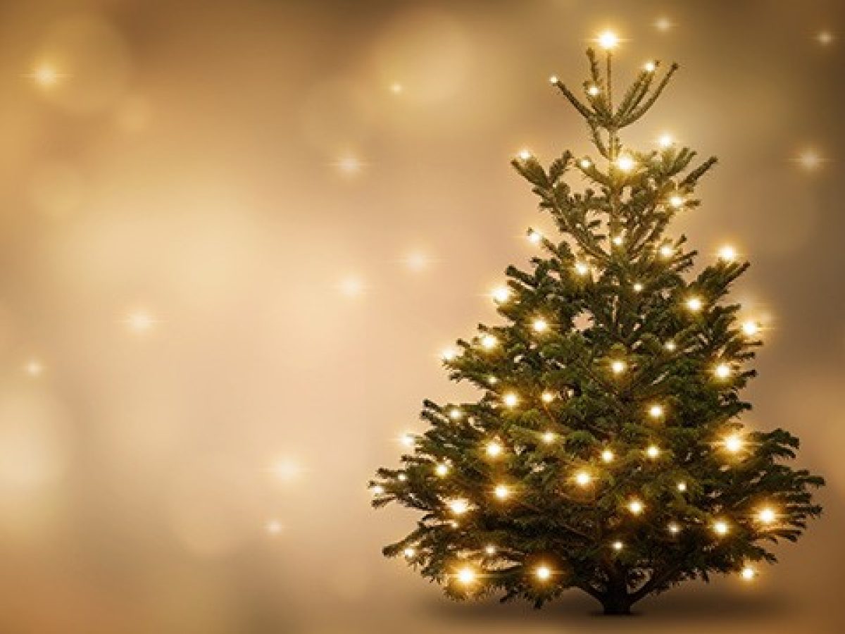 Sapins