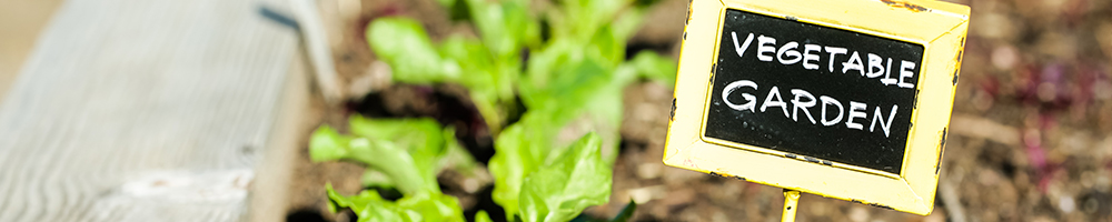 Travailler au potager