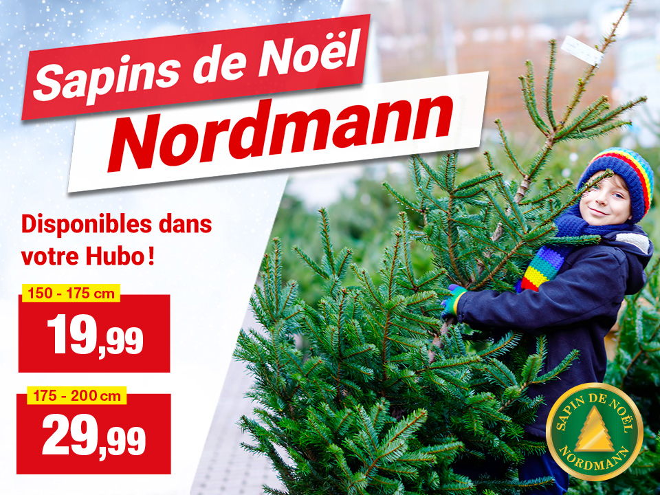 Sapins de Noël Nordmann