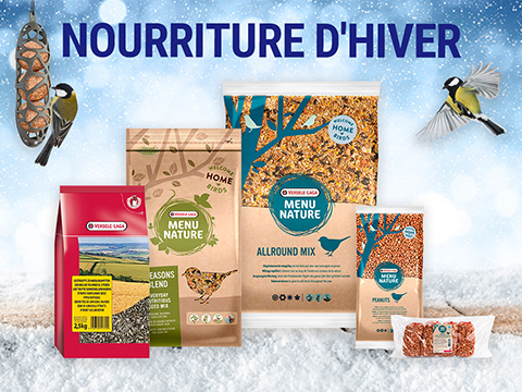 Aider les animaux à passer l’hiver avec de la nourriture d’hiver