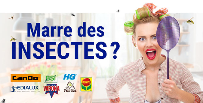 Lutter contre les inscectes