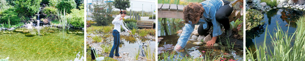 Entretenir un bassin