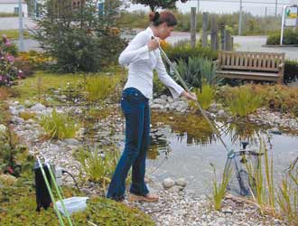 Plantes aquatiques