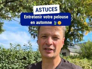 entretenir votre pelouse