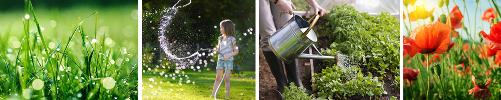 Arroser votre jardin