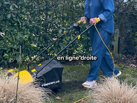verticuteren