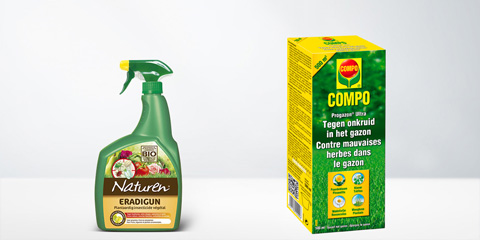 Produits désherbants et anti-mousse