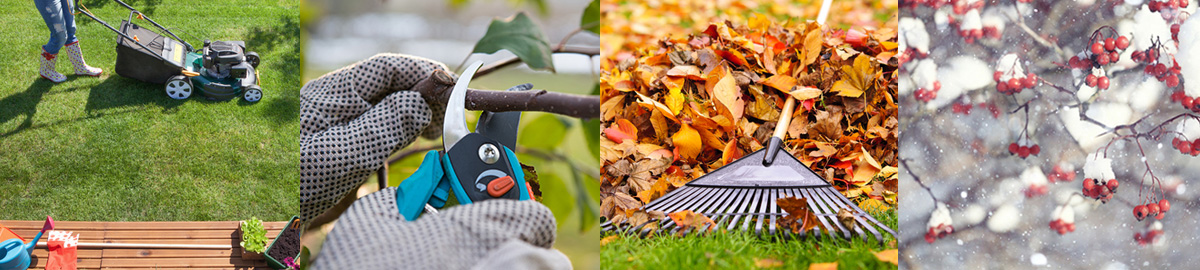 Entretien du jardin à l'automne