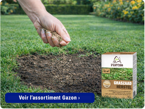 gazon de réparation