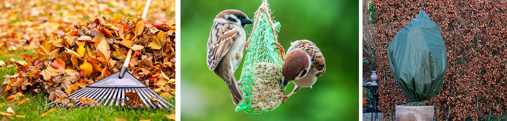 Préparer votre jardin pour l'hiver