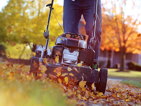 Tondre la pelouse en automne
