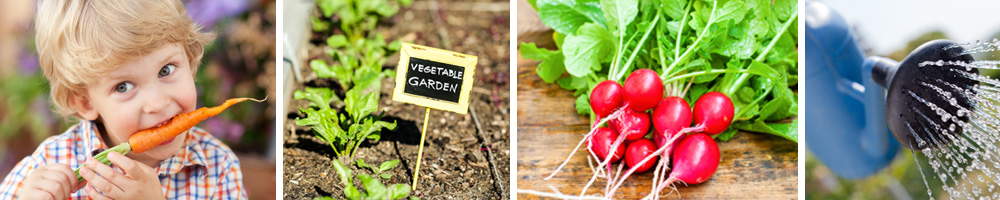 Cultiver les légumes et plantes aromatiques