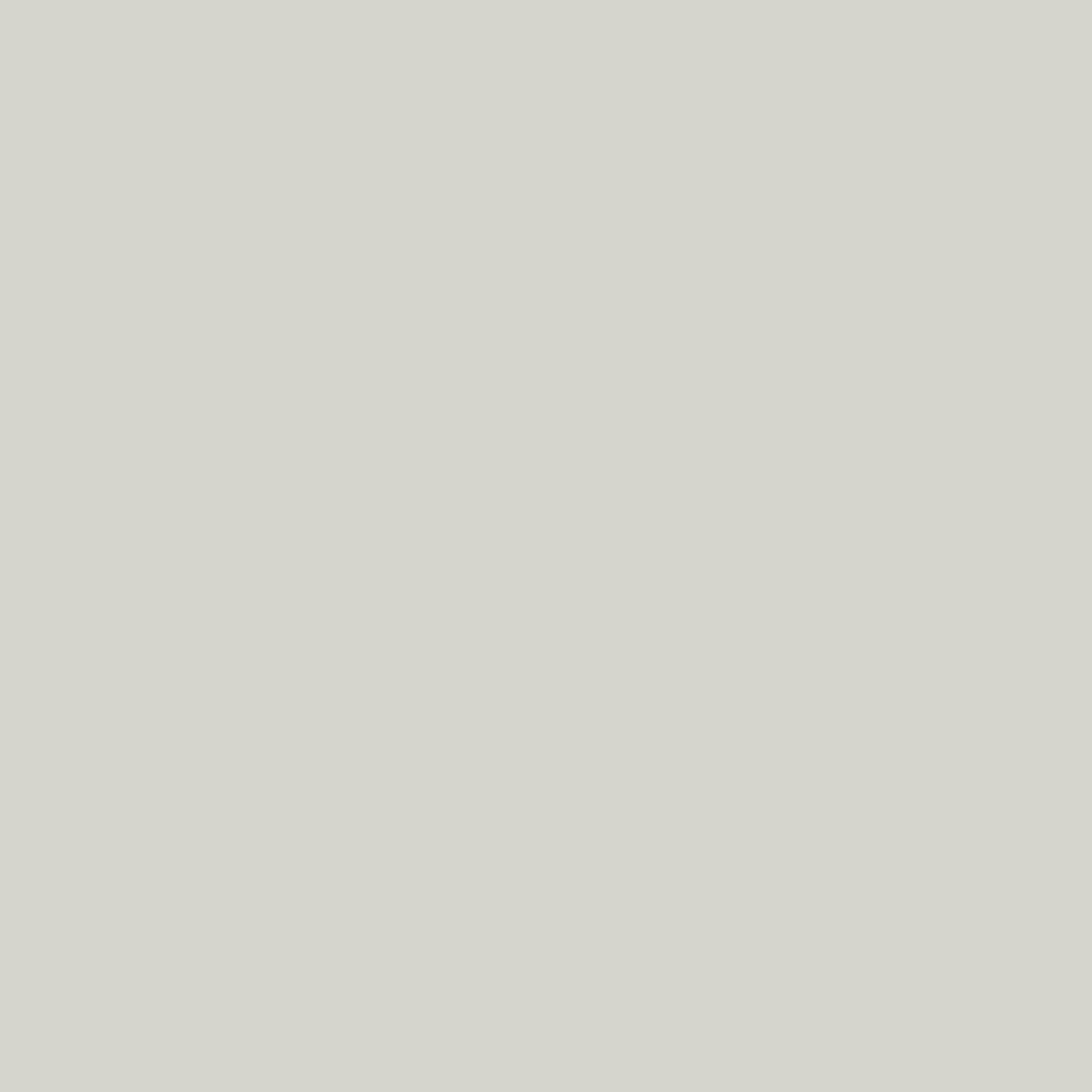 Couleur Levis Essentials: Grey White