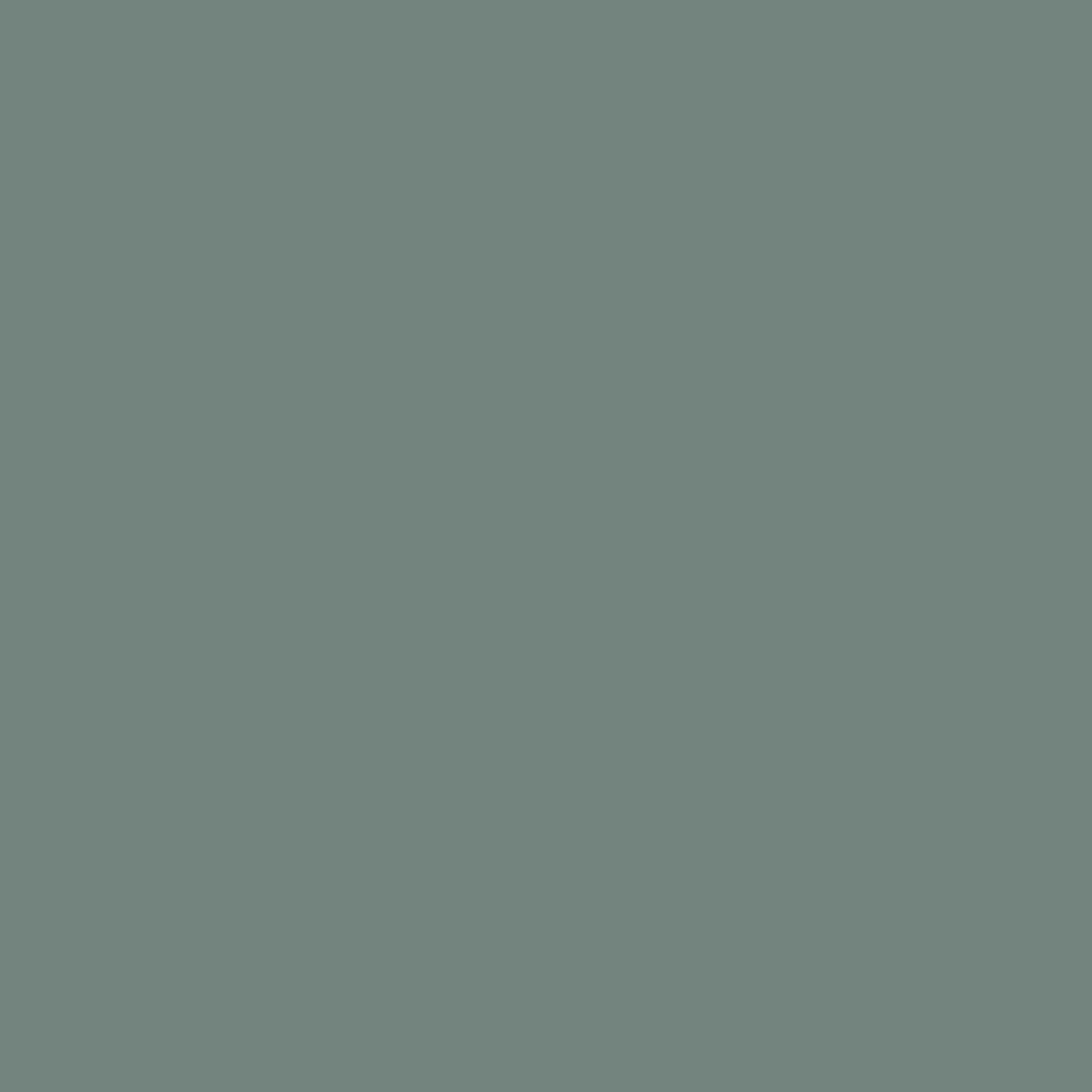 Couleur Levis Essentials: Herbal Green