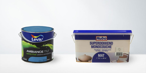 Peinture murale et de plafond
