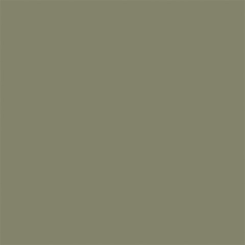 Couleur de façade de cuisine: OLIVE