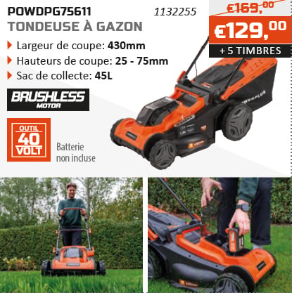 Dual Power action d'épargne tondeuse à gazon