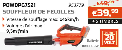 Dual Power action d'épargne Souffleur de feuilles