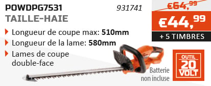 Dual Power action d'épargne Taille-haie