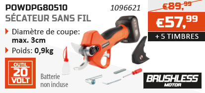 Dual Power action d'épargne Sécateur sans fil