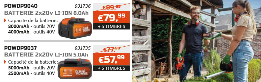 Dual Power action d'épargne batterie 2x20v