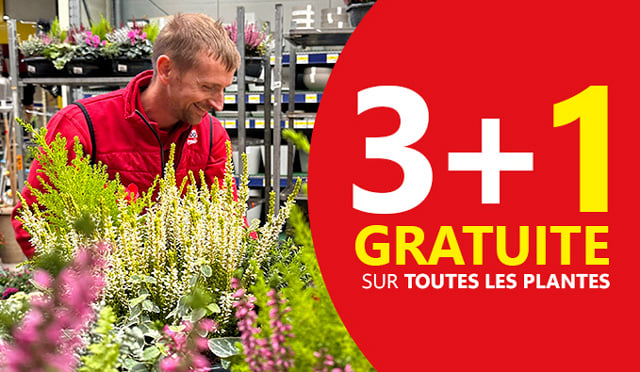 Les jardinières