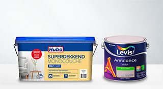 Peinture pour mur et plafond