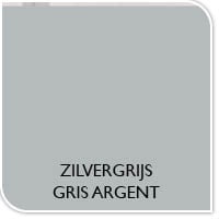 Couleur de la peinture gris argent