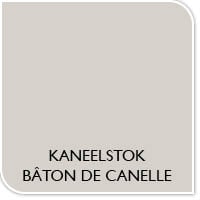 Couleur de la peinture bâton de canelle