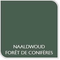 Couleur de la peinture forêt de conifères
