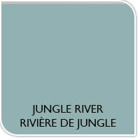 Couleur de la peinture rivière de jungle