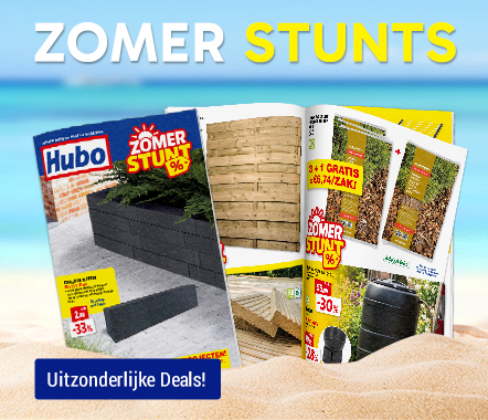 Zomerstunts
